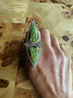 THE ASSISI RING