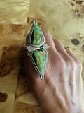 THE ASSISI RING