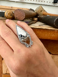 THE FOLLY RING
