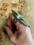 THE ASSISI RING