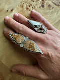 THE FOLLY RING