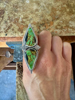 THE ASSISI RING