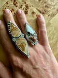 THE FOLLY RING