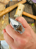 THE FOLLY RING