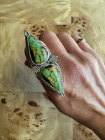 THE ASSISI RING